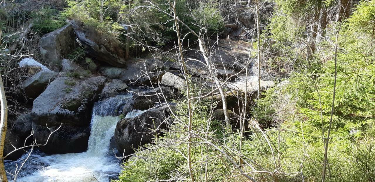 Chata Na Sousi Desná Exterior foto